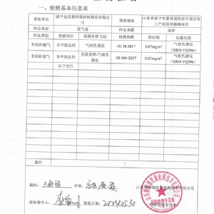 檢測(cè)報(bào)告（2024.05.30）